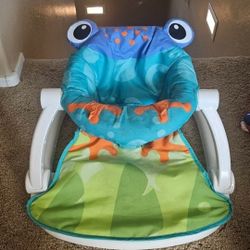 Frog Sit Me Up Chair
