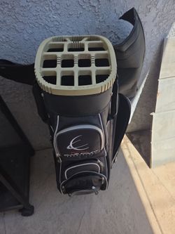 Electric golf bag