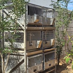 Stacked Rabbit Chicken Kennels