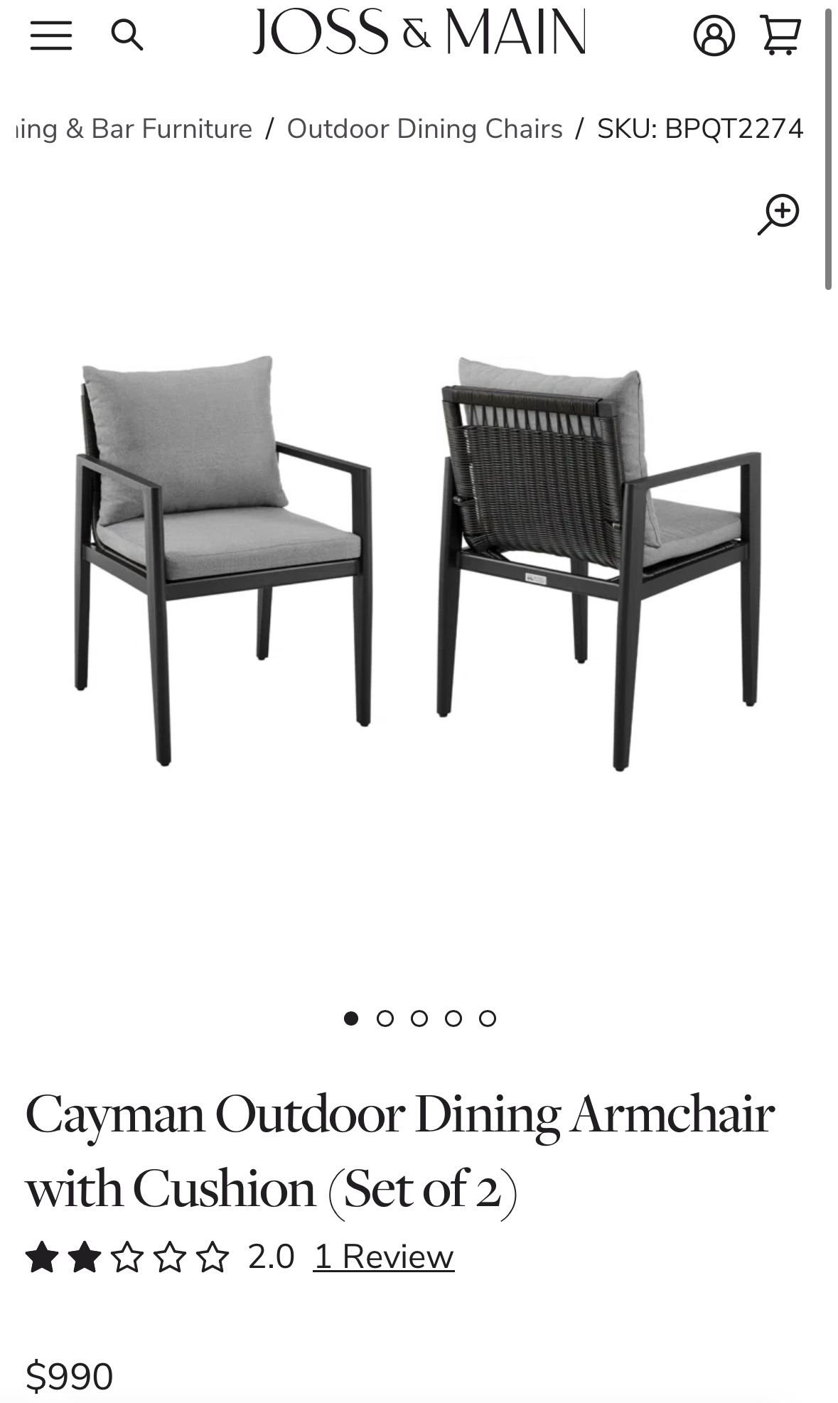 Cayman Metal Outdoor Dining Chairs With Cushions (Set of 4)