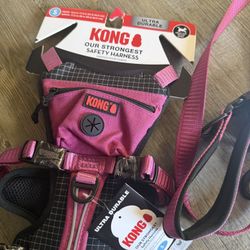 Kong Harness And Leash