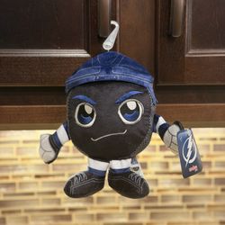 Official NHL licensed Tampa bay lightning hockey puck plush brand new never used with tag
