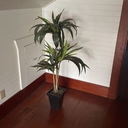 4ft Tall 2ft Wide Realistic Plant