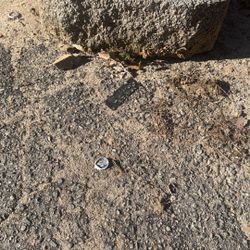 Retaining Wall Wall Blocks