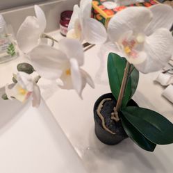 Fake orchid