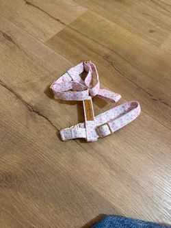 Lane & Leash Floral Dog Harness