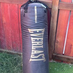 Everlast Punching Bag