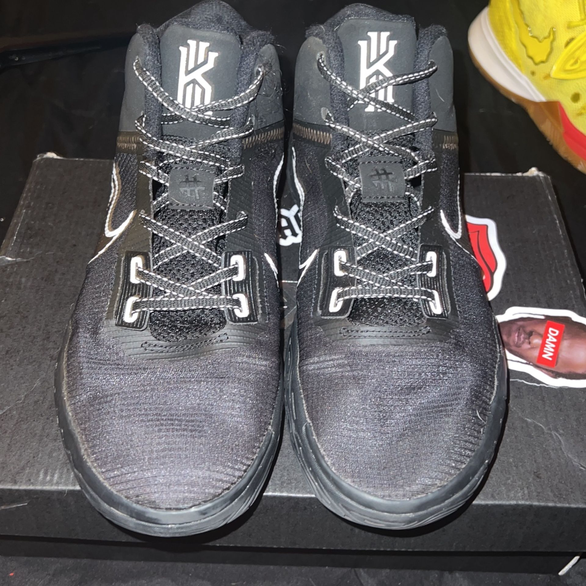 Kyrie Flytraps