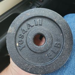 4 X 5lb Weights