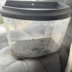 Fish Tank