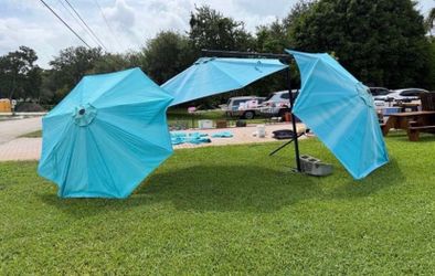 3 Umbrellas $50 Each