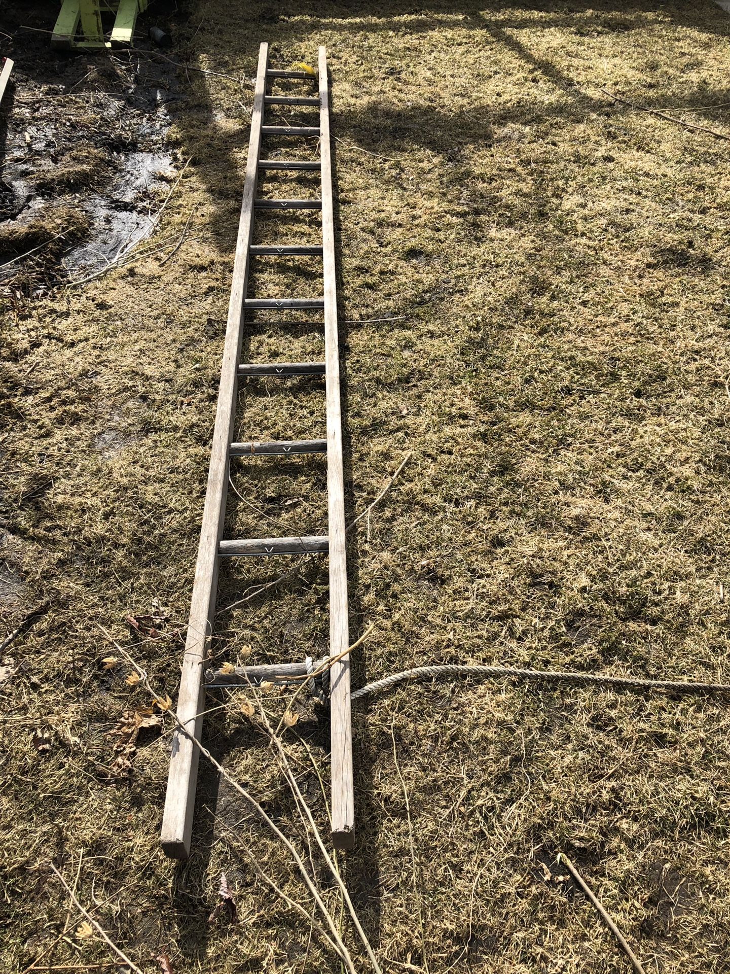 12 foot wooden ladder