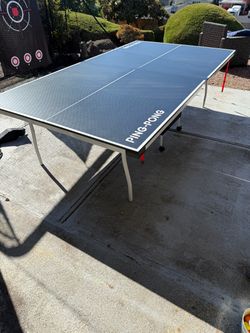 Ping Pong Table