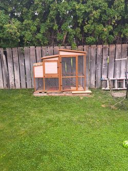 Chicken coupe
