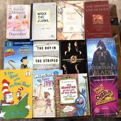 Young adult/children’s books 