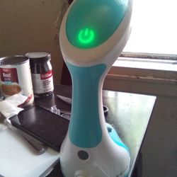 Hand Held Steamer Iron