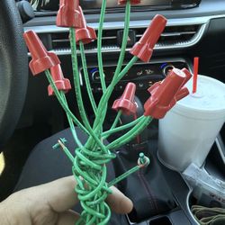 Bouquet Of EverLasting Never Forget My Love “BITCH” Flowers 