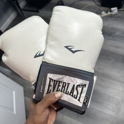 Ever last boxing Gloves  