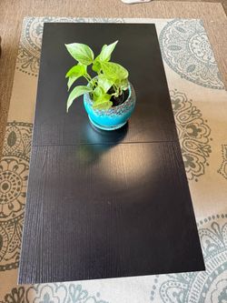 Lift Top Coffee Table MUST GO
