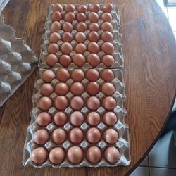 Fresh Brown Eggs