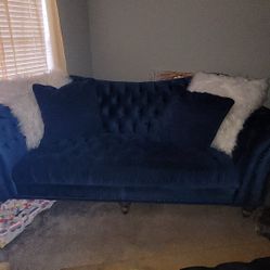 Royal Blue Sofa 