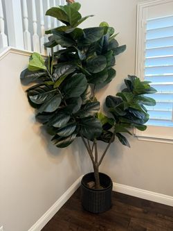 Fig Tree (Artificial)