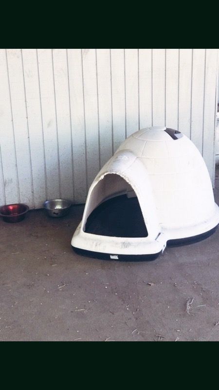 Large dog igloo for sale!!!