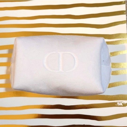 Christian Dior Makeup Case
