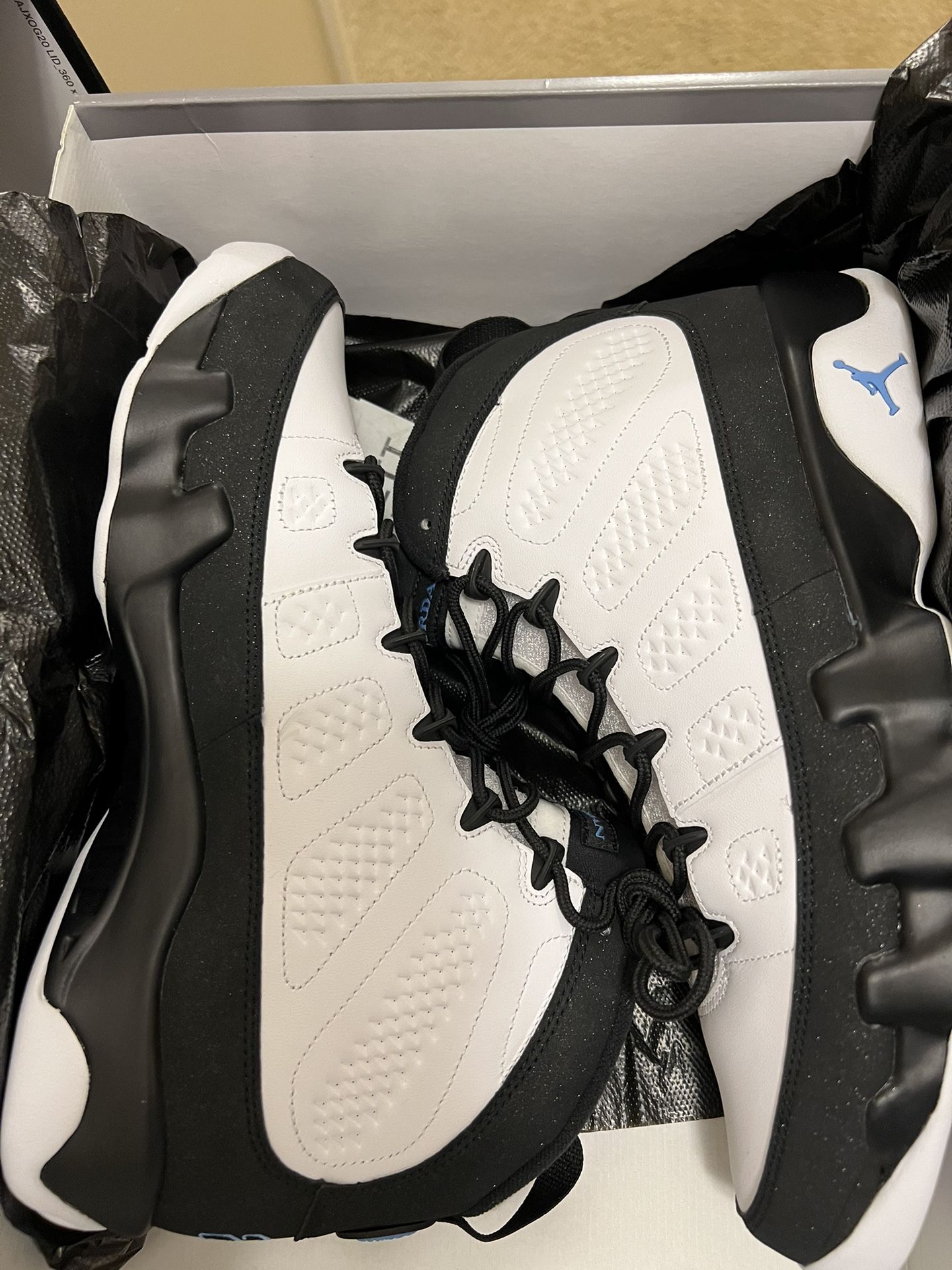 Jordan Retro University Blue 9s