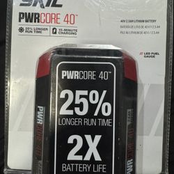SKIL PWRCORE BATTERY