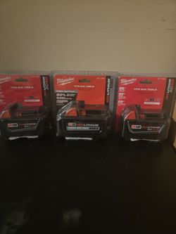 2 battery #5 and 1 battery #6 $200 for all 3 battery firm on price