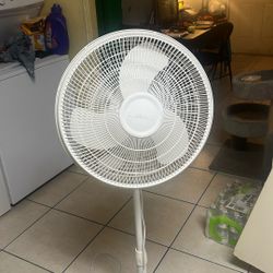 Stand Fan