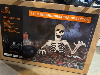Halloween skeleton decor