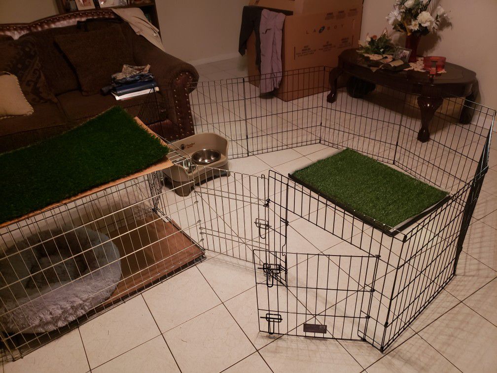 Metal, collapsible dog crate.