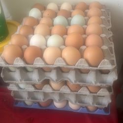 Flet De Huevo De 30
