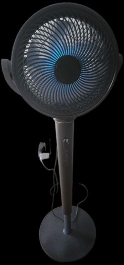 Pedestal Fan