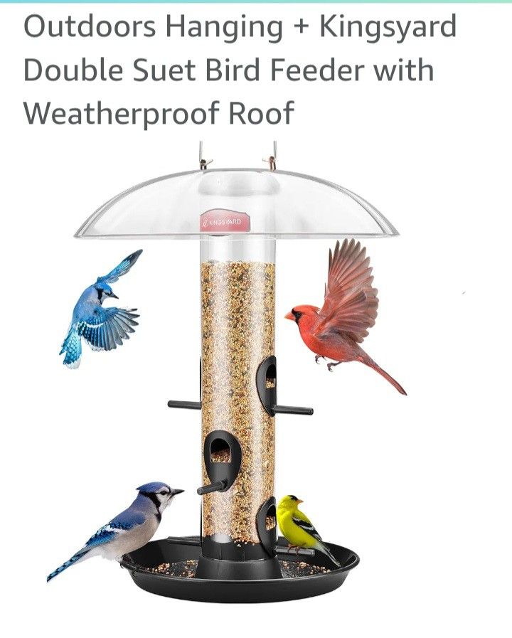 Bird Feeder.