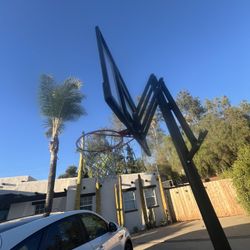 New Lifetime Basketball Hoop 