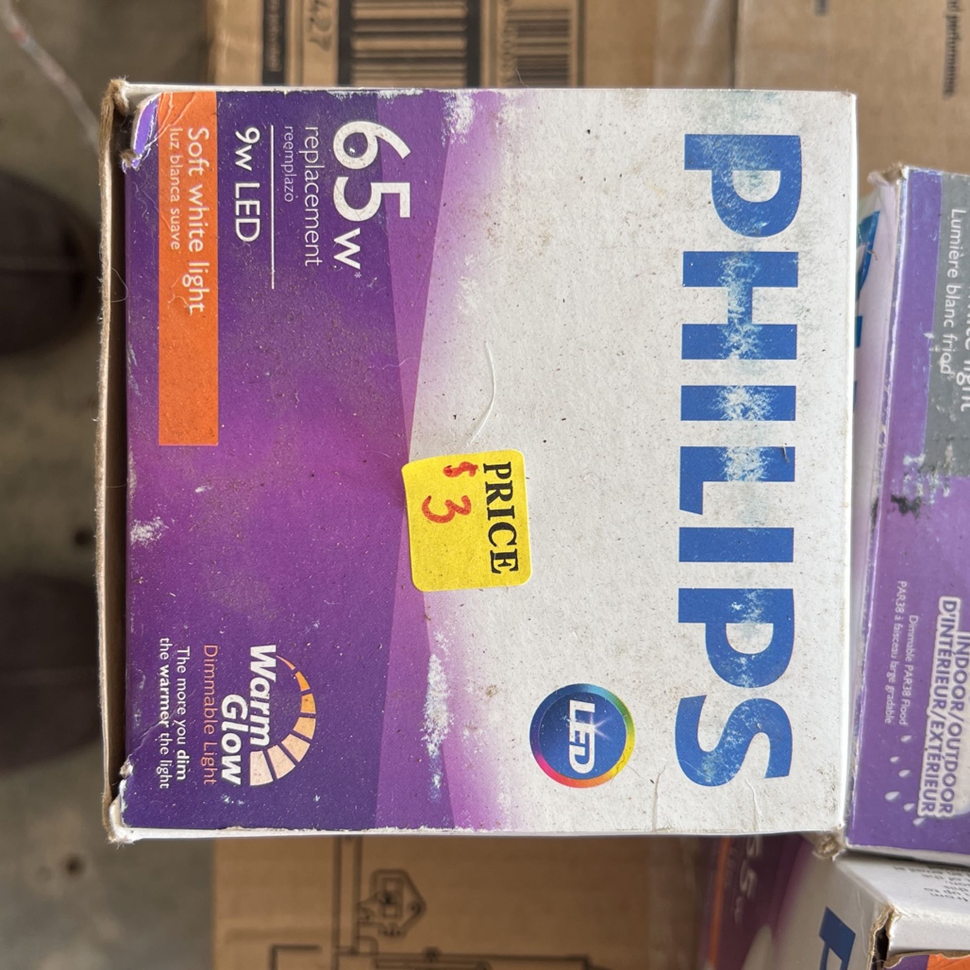 Philips Indoor Outdoor Light