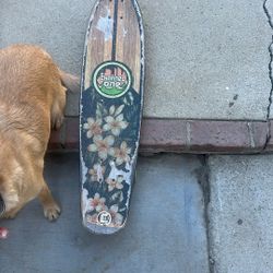Long Skateboard