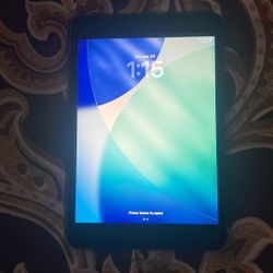 I Pad Mini 5th Generation 