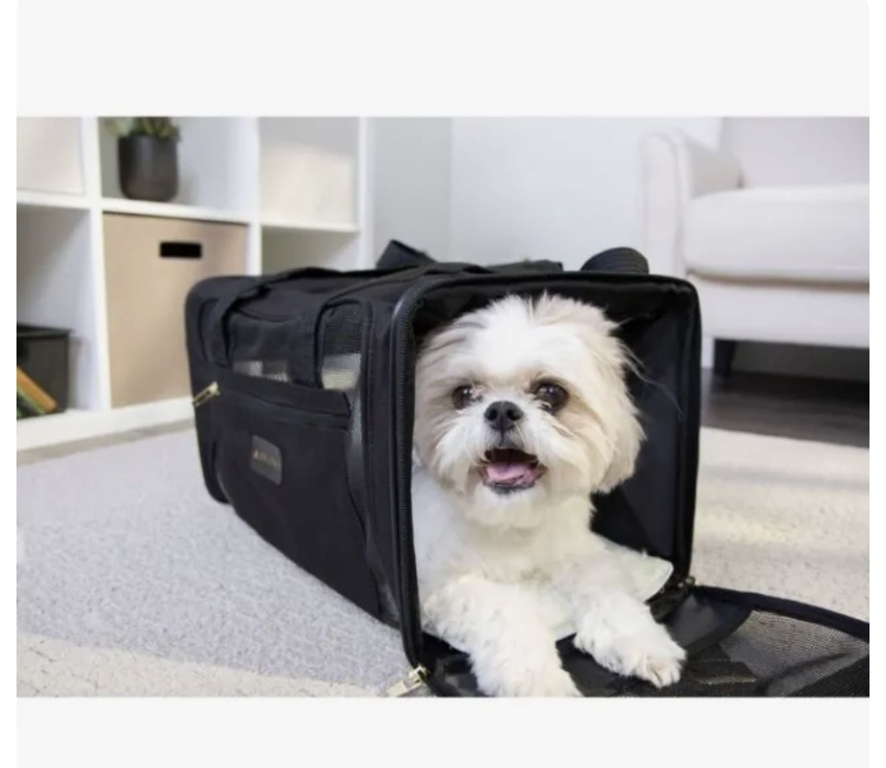 Pet Carrier Medium 