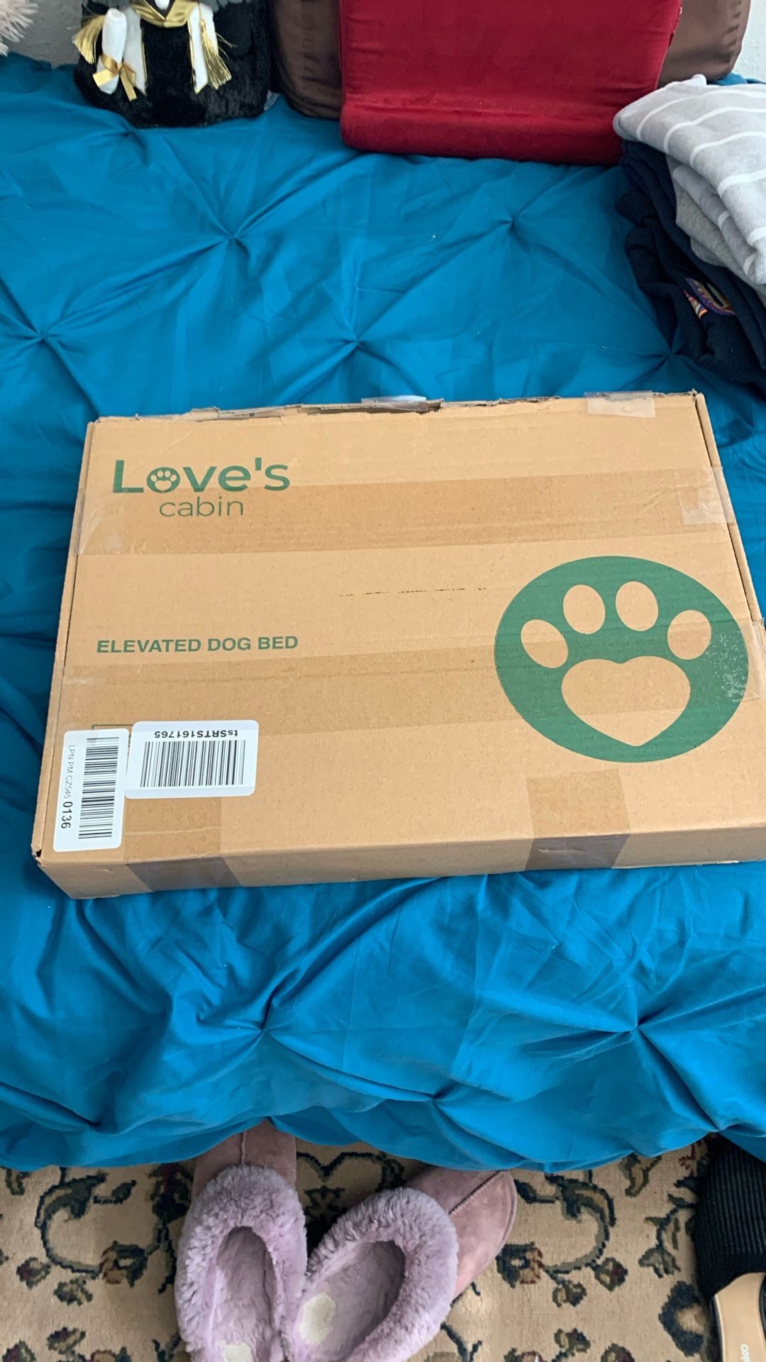Raised Dog Bed