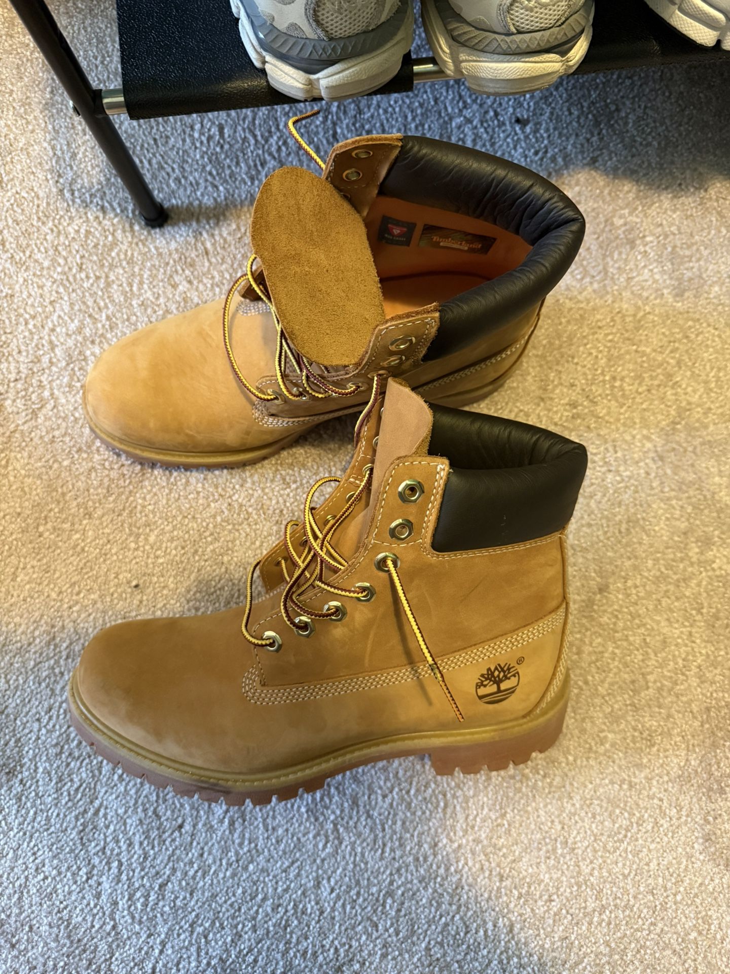 Men's Timberland® Premium 6-Inch Waterproof Boot