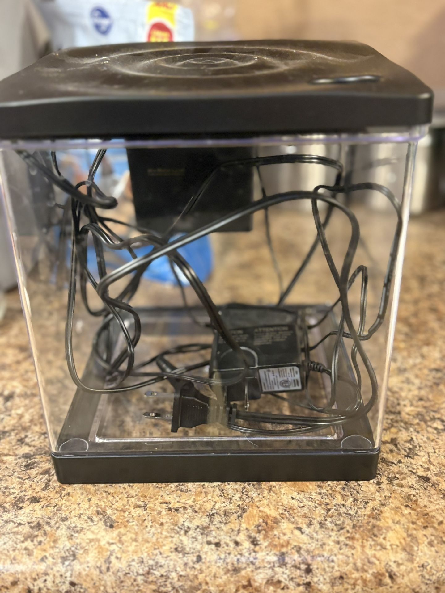 Beta Fish Tank