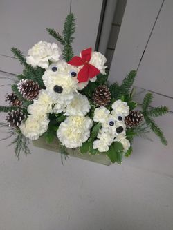 Puppy arrangements