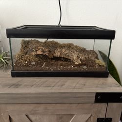 Glass Tank 