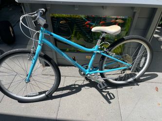 Guardian 24 inch bike new chain