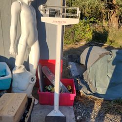 Weight Scale