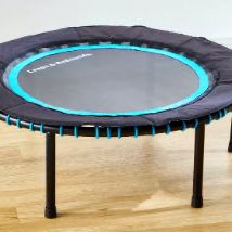 Leaps and Rebounds Rebounder